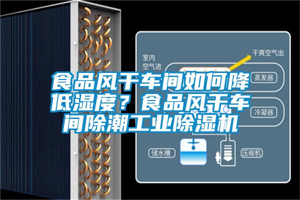 食品風(fēng)干車間如何降低濕度？食品風(fēng)干車間除潮工業(yè)除濕機