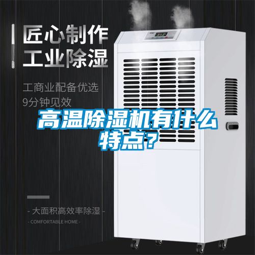 高溫除濕機(jī)有什么特點(diǎn)？