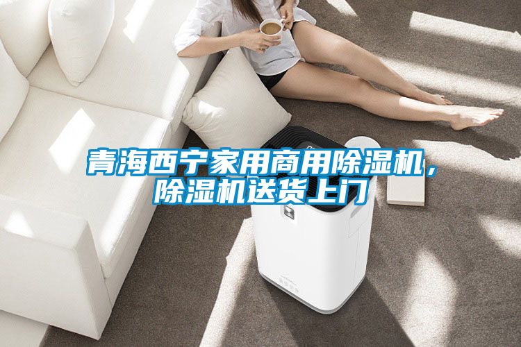 青海西寧家用商用除濕機，除濕機送貨上門
