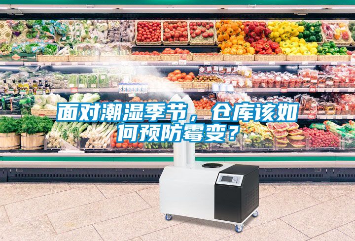 面對(duì)潮濕季節(jié)，倉庫該如何預(yù)防霉變？