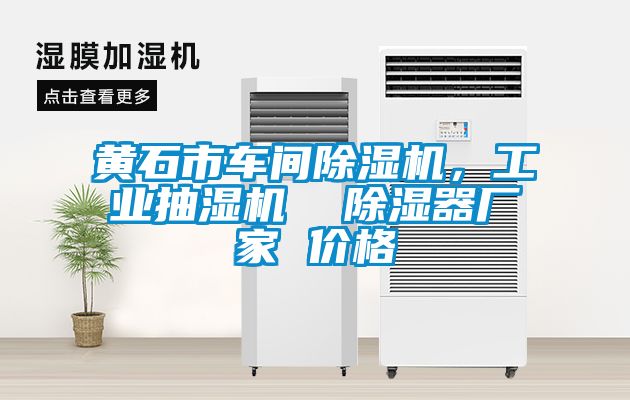 黃石市車間除濕機(jī)，工業(yè)抽濕機(jī)  除濕器廠家 價(jià)格