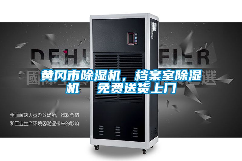黃岡市除濕機(jī)，檔案室除濕機(jī)  免費(fèi)送貨上門