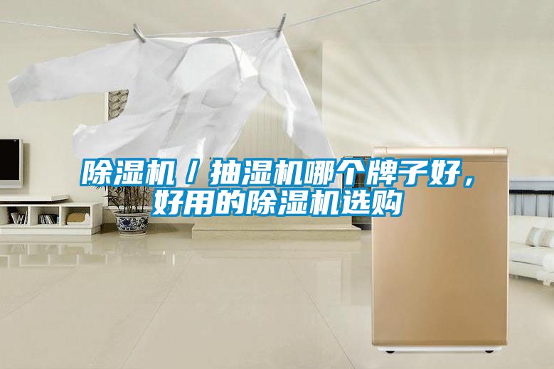 除濕機(jī)／抽濕機(jī)哪個(gè)牌子好，好用的除濕機(jī)選購(gòu)