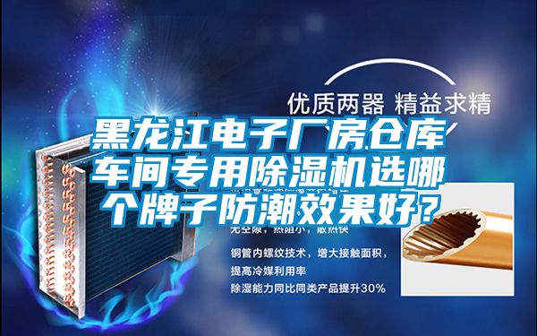 黑龍江電子廠房倉(cāng)庫(kù)車間專用除濕機(jī)選哪個(gè)牌子防潮效果好？