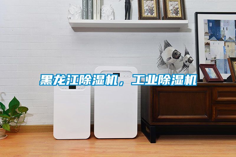 黑龍江除濕機(jī)，工業(yè)除濕機(jī)