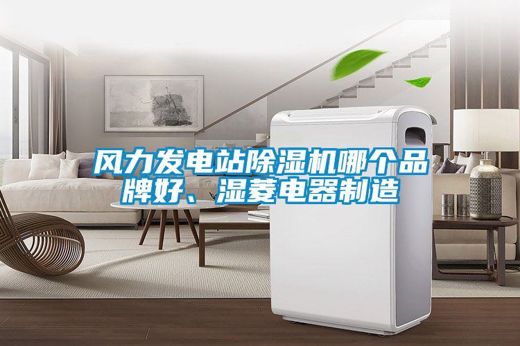 風(fēng)力發(fā)電站除濕機(jī)哪個品牌好、濕菱電器制造