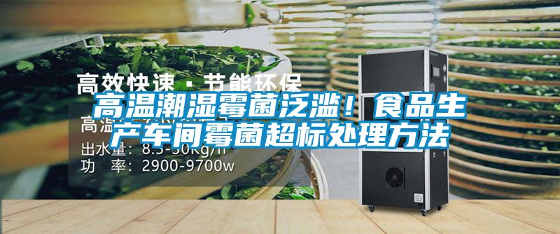 高溫潮濕霉菌泛濫！食品生產車間霉菌超標處理方法