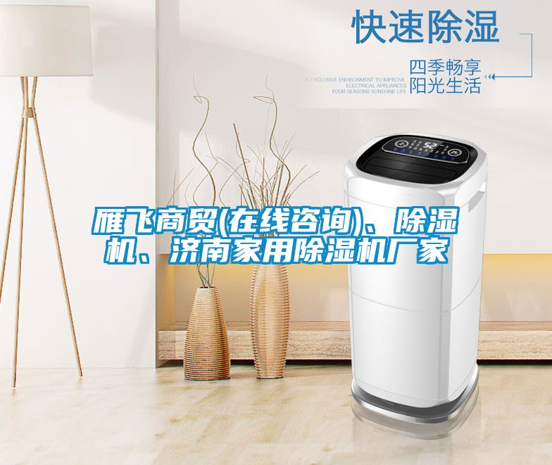 雁飛商貿(mào)(在線咨詢)、除濕機(jī)、濟(jì)南家用除濕機(jī)廠家