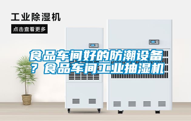 食品車間好的防潮設(shè)備？食品車間工業(yè)抽濕機(jī)