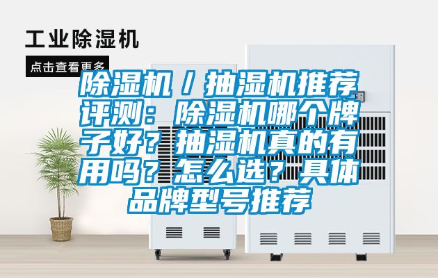 除濕機(jī)／抽濕機(jī)推薦評(píng)測(cè)：除濕機(jī)哪個(gè)牌子好？抽濕機(jī)真的有用嗎？怎么選？具體品牌型號(hào)推薦