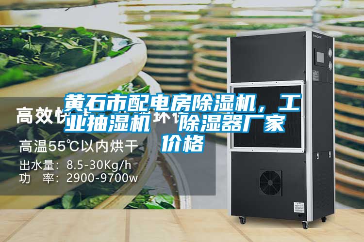 黃石市配電房除濕機(jī)，工業(yè)抽濕機(jī)  除濕器廠家 價(jià)格