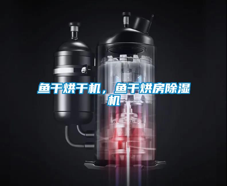 魚干烘干機(jī)，魚干烘房除濕機(jī)