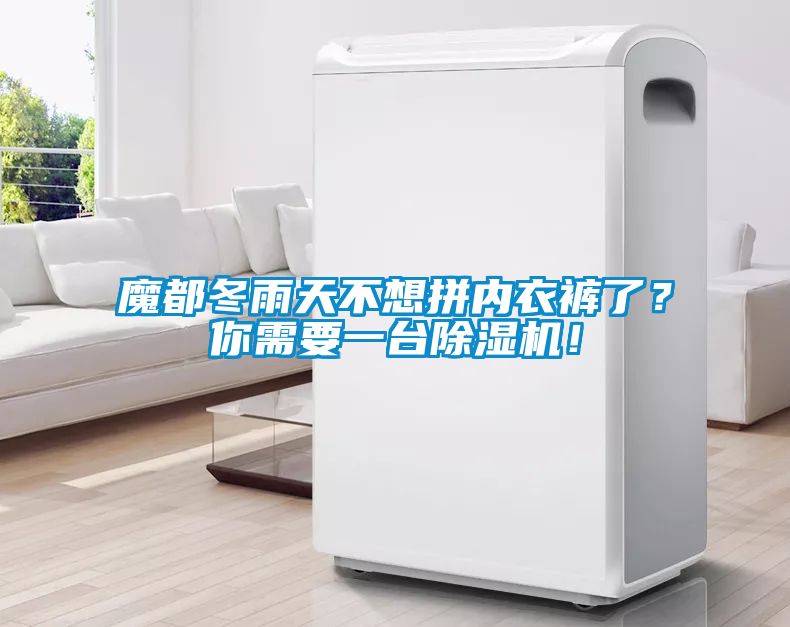 魔都冬雨天不想拼內(nèi)衣褲了？你需要一臺(tái)除濕機(jī)！