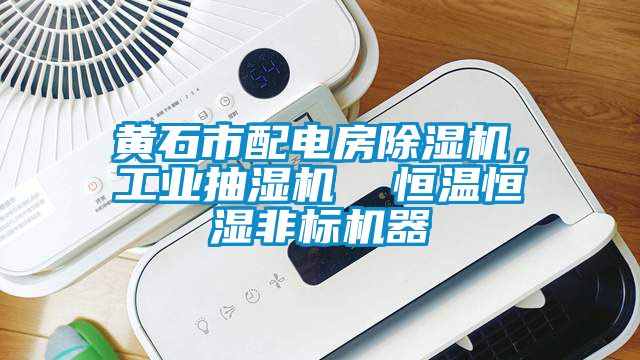 黃石市配電房除濕機(jī)，工業(yè)抽濕機(jī)  恒溫恒濕非標(biāo)機(jī)器